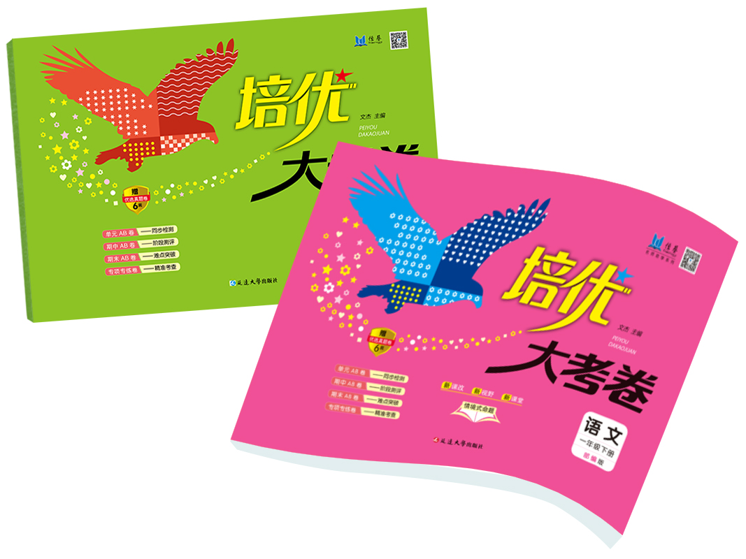 小学《培优大考卷》